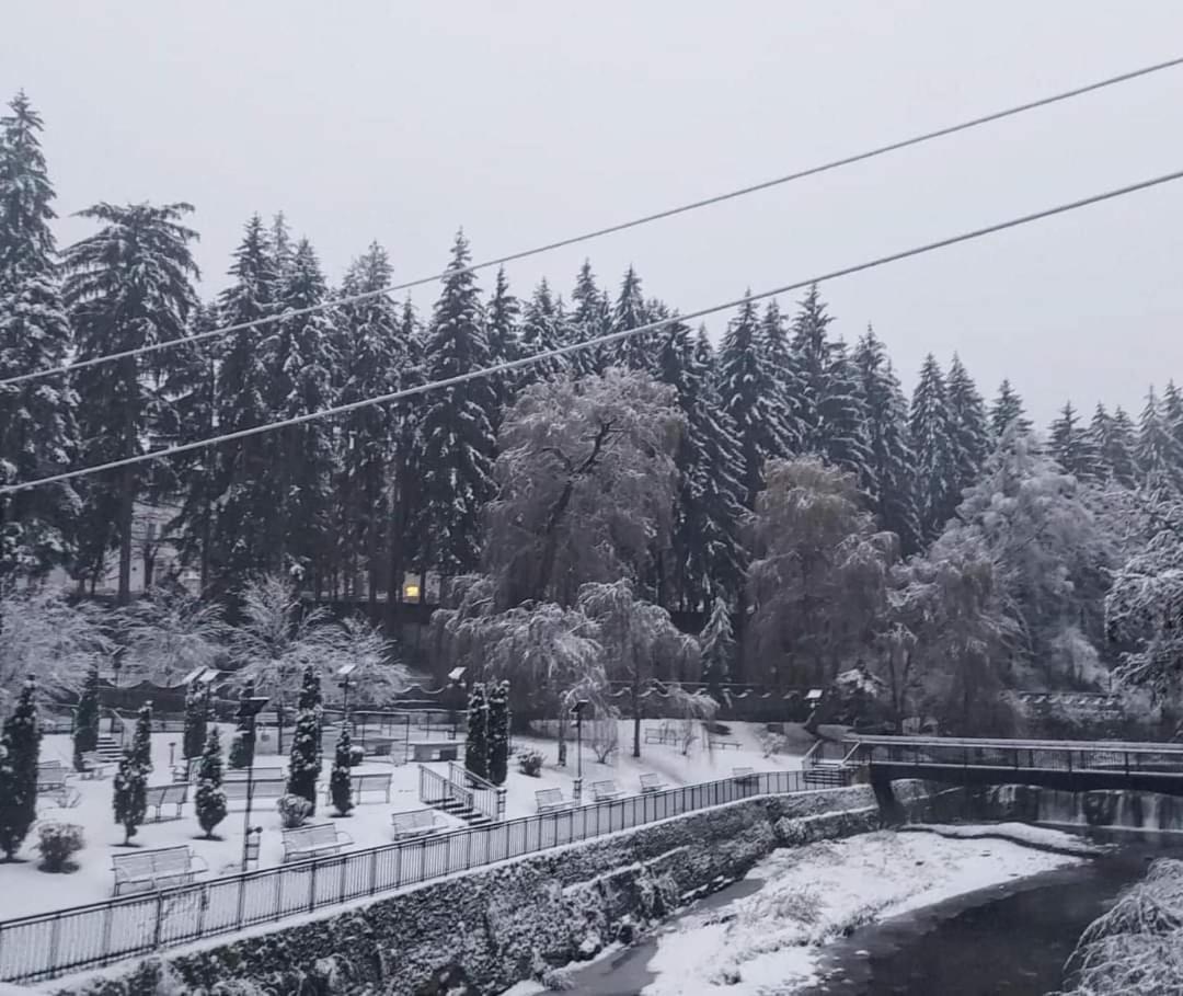 Vila Nicoleta Băile Olăneşti المظهر الخارجي الصورة