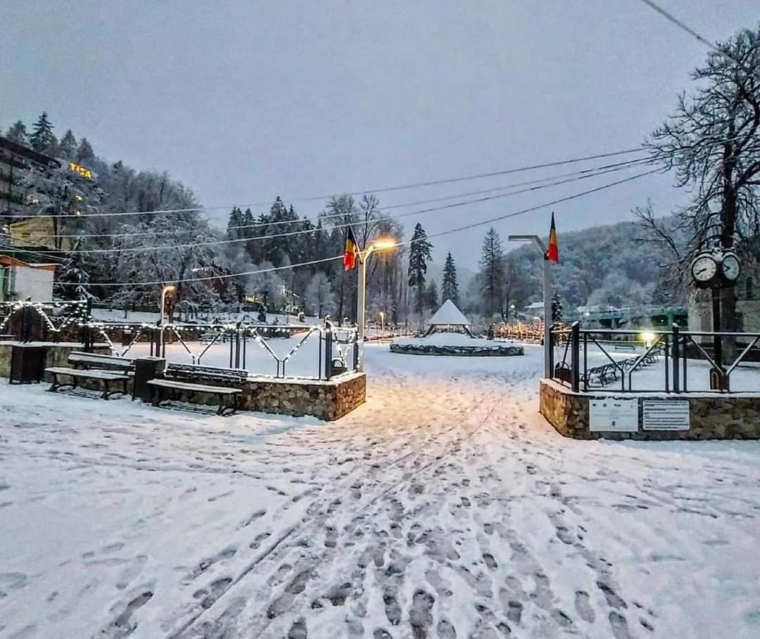 Vila Nicoleta Băile Olăneşti المظهر الخارجي الصورة