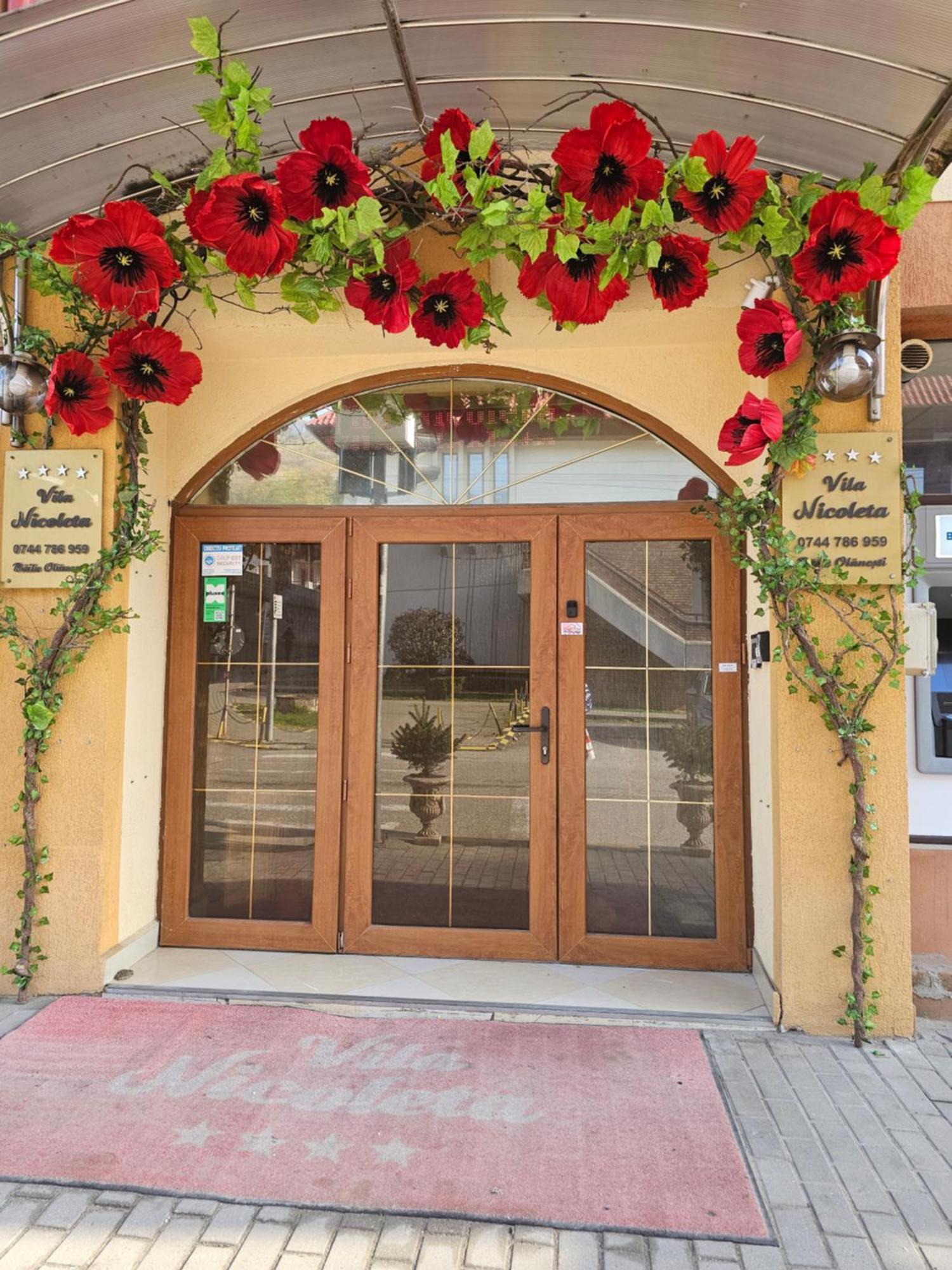 Vila Nicoleta Băile Olăneşti المظهر الخارجي الصورة