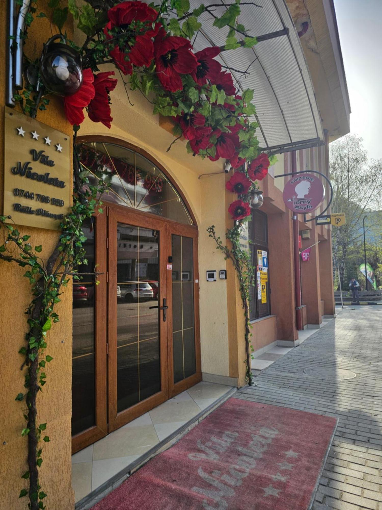 Vila Nicoleta Băile Olăneşti المظهر الخارجي الصورة