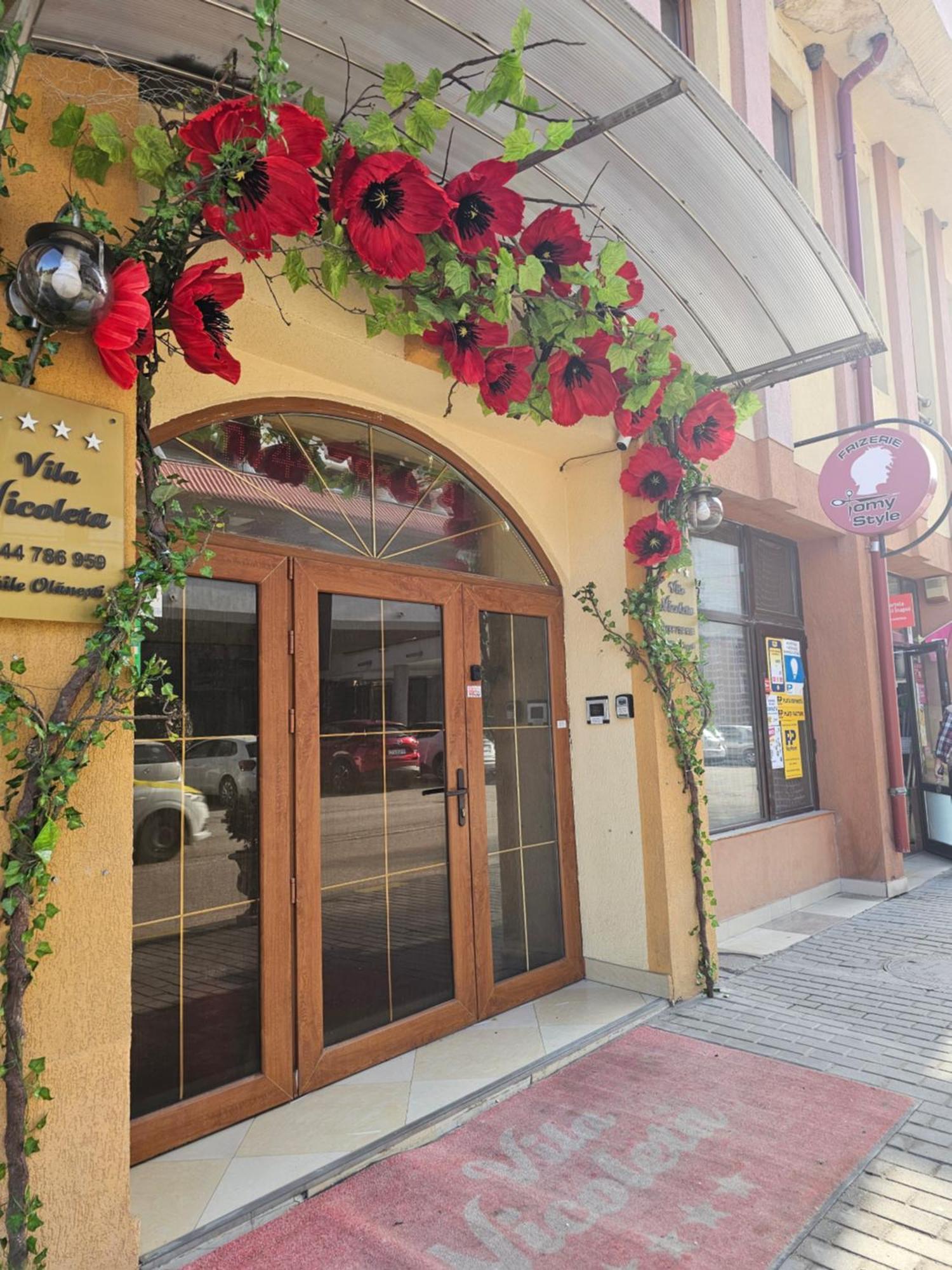 Vila Nicoleta Băile Olăneşti المظهر الخارجي الصورة